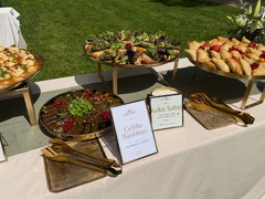 Die Feinschmecker Catering & Partyservice Hamburg - Vegetarisches Catering-Buffet im Freien mit gefüllten Weinblättern, Kuku Sabzi, Samosas, Fingerfood und verschiedenen frisch angerichteten Spezialitäten.