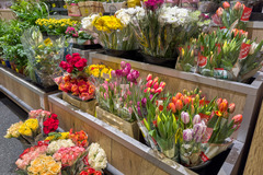 Blumen