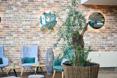 exo-square-heidelberg-schwetzingen-by-superfly-hotels-lobby