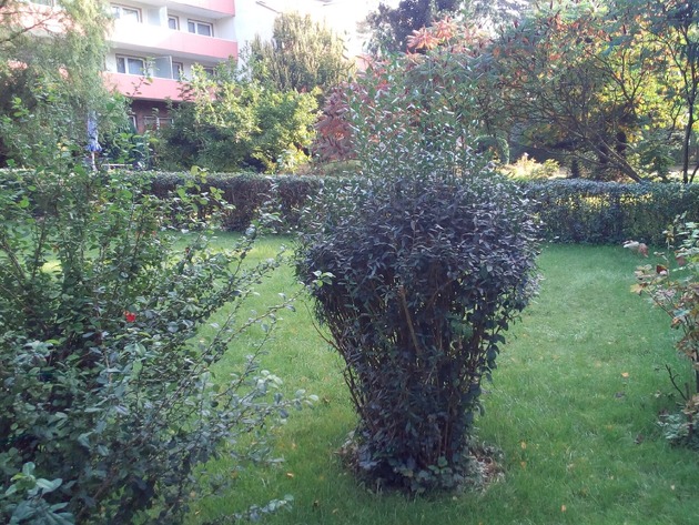 Hotel Seehaus