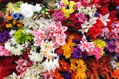 Blumen