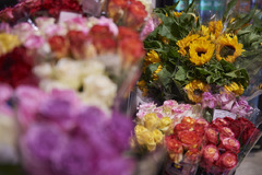 Blumen