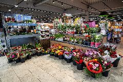 Blumen