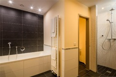 Guest room bath