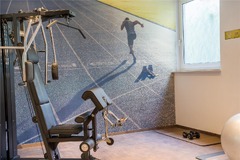 Health club  fitness center  gym
