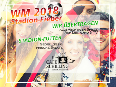 WM 2018 | Stadion-Fieber